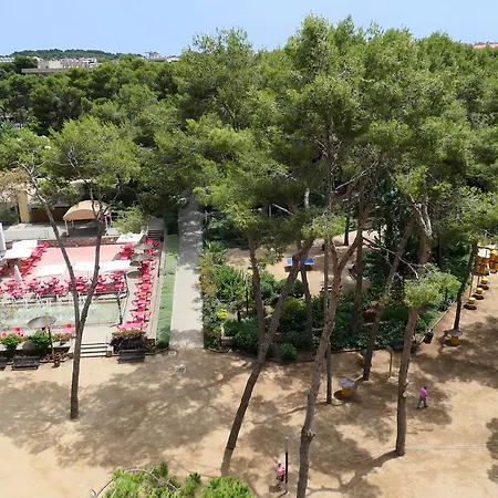 Park Apartment